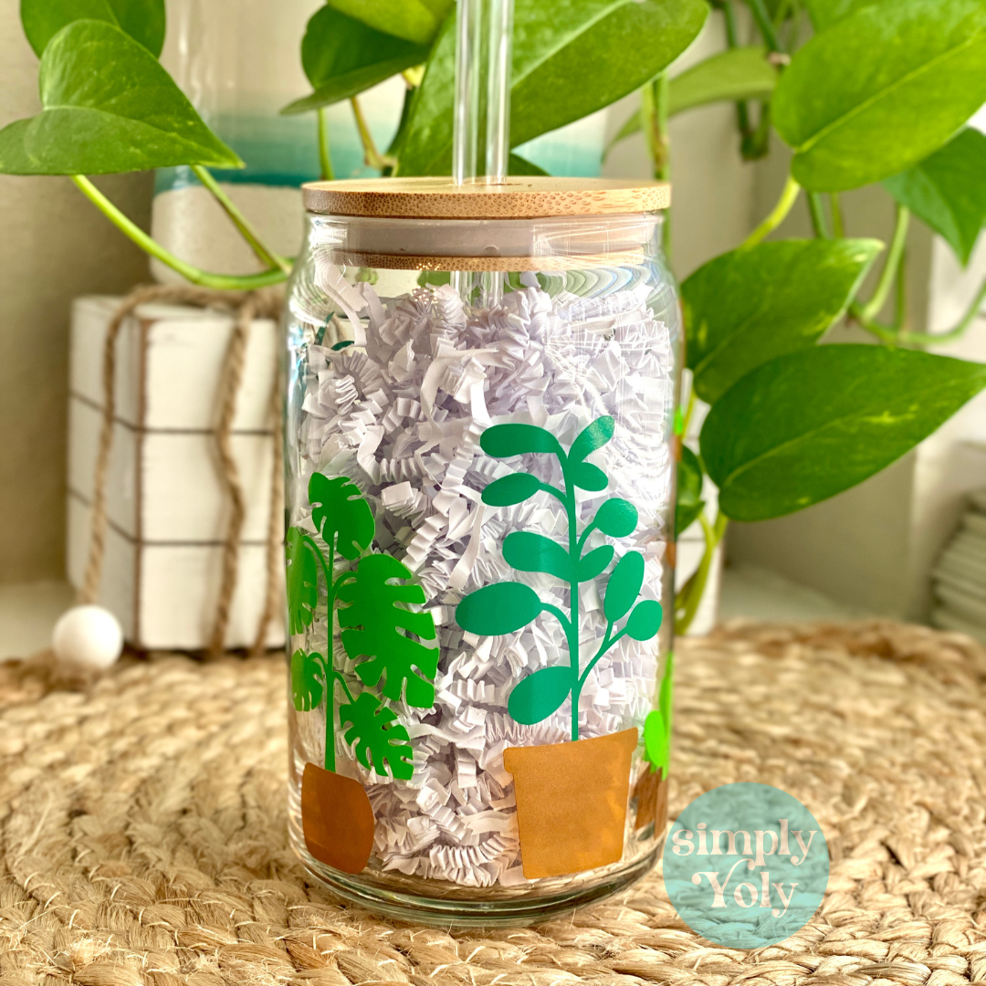 Plants glass can